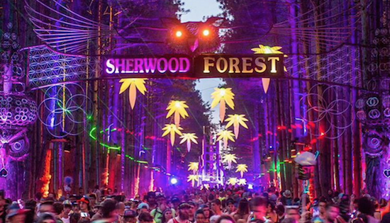 Electric Forest Organizers Confirm 4 Day Colorado Camping Festival