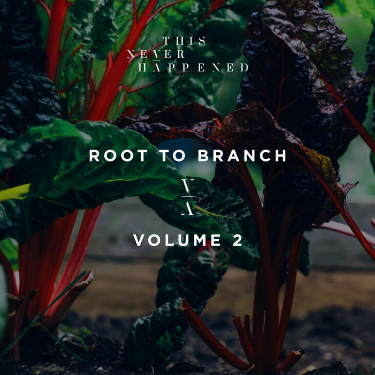 Lane 8 root to branch 2