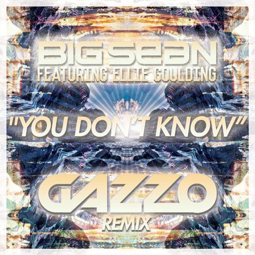 [PREMIERE] Big Sean feat. Ellie Goulding - You Don't Know (Gazzo Remix) : Electro House Remix [Free Download]