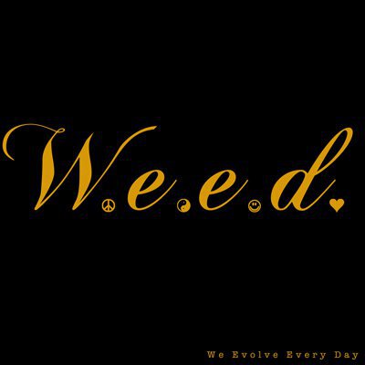 W.E.E.D. - We Evolve Every Day E.P. : Must Hear Dubstep / Acoustic Hip Hop Album [TSIS Premiere]