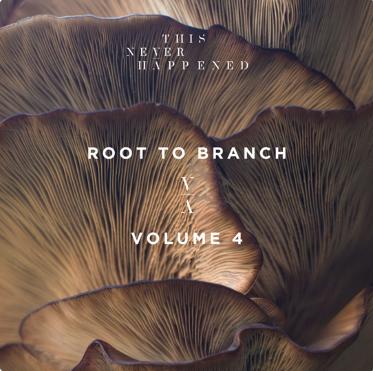 root to branch volume 4