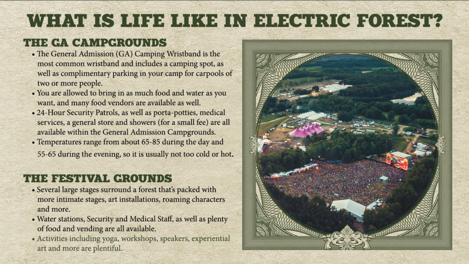 Electric forest powerpoint 3