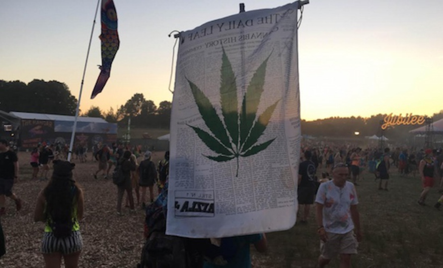 Weed vibes