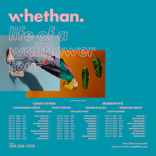 whethan life of a wallflower