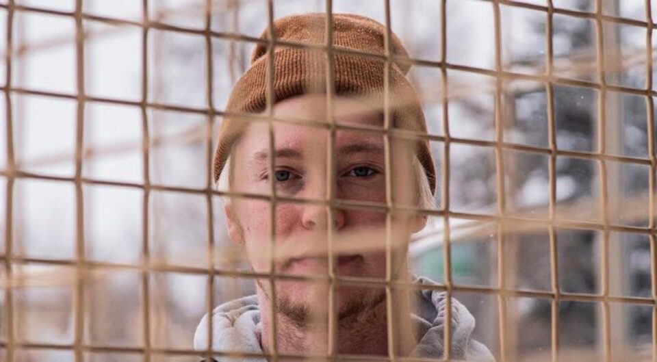 motifv dilated minds