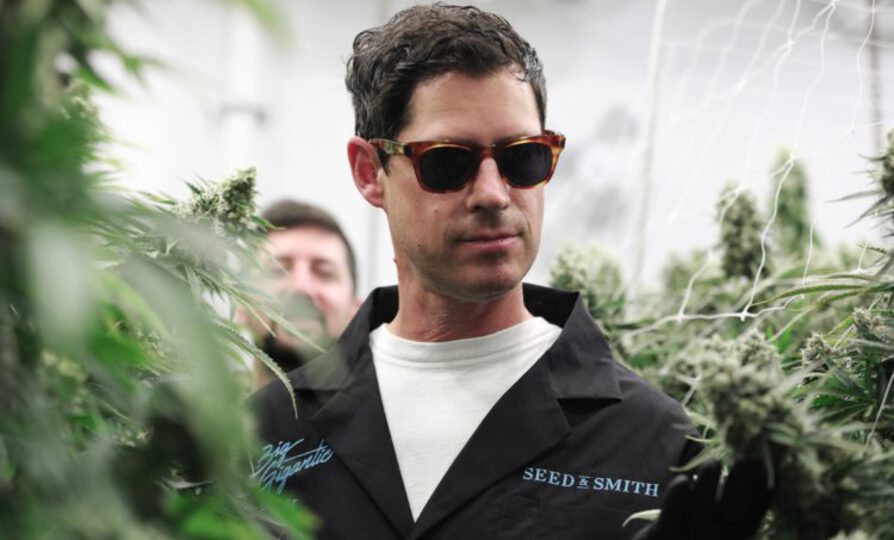 big gigantic leisure season