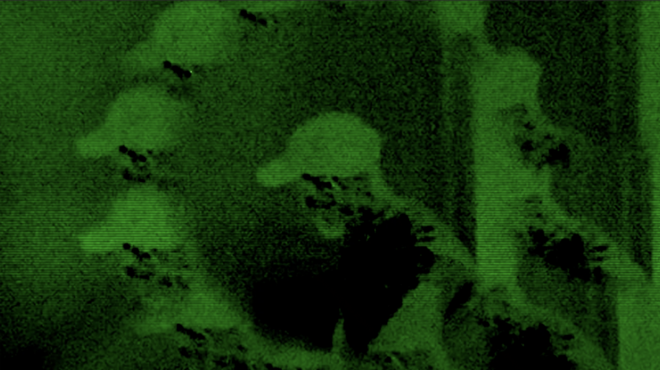 French Producer Stwo Announces 'Prove' EP, Debuts Dreamy Title Track